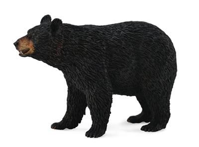 Grote zwarte beer